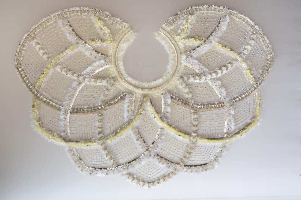 Phyllotaxis Cape 2024